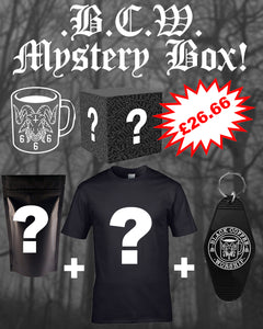 £26.66 mystery .b.c.w. box!
