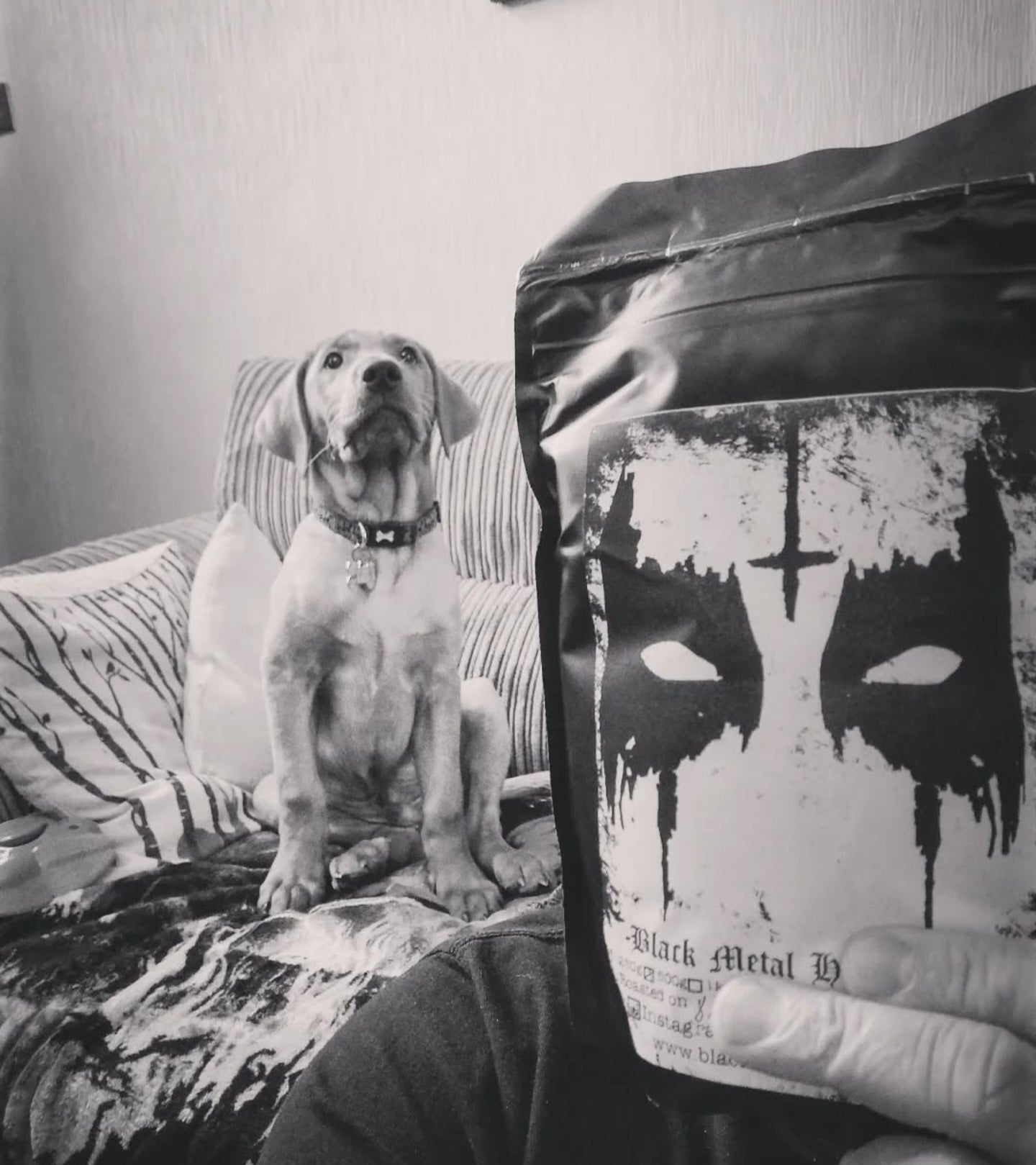 black metal hus blend (single origin bcw house blend) free bcw sticker pack*